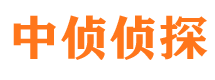 叙永捉小三公司